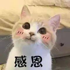 瞬间|【聊天室】生活中那些九死一生的瞬间，真·离当场去世就差那么点！