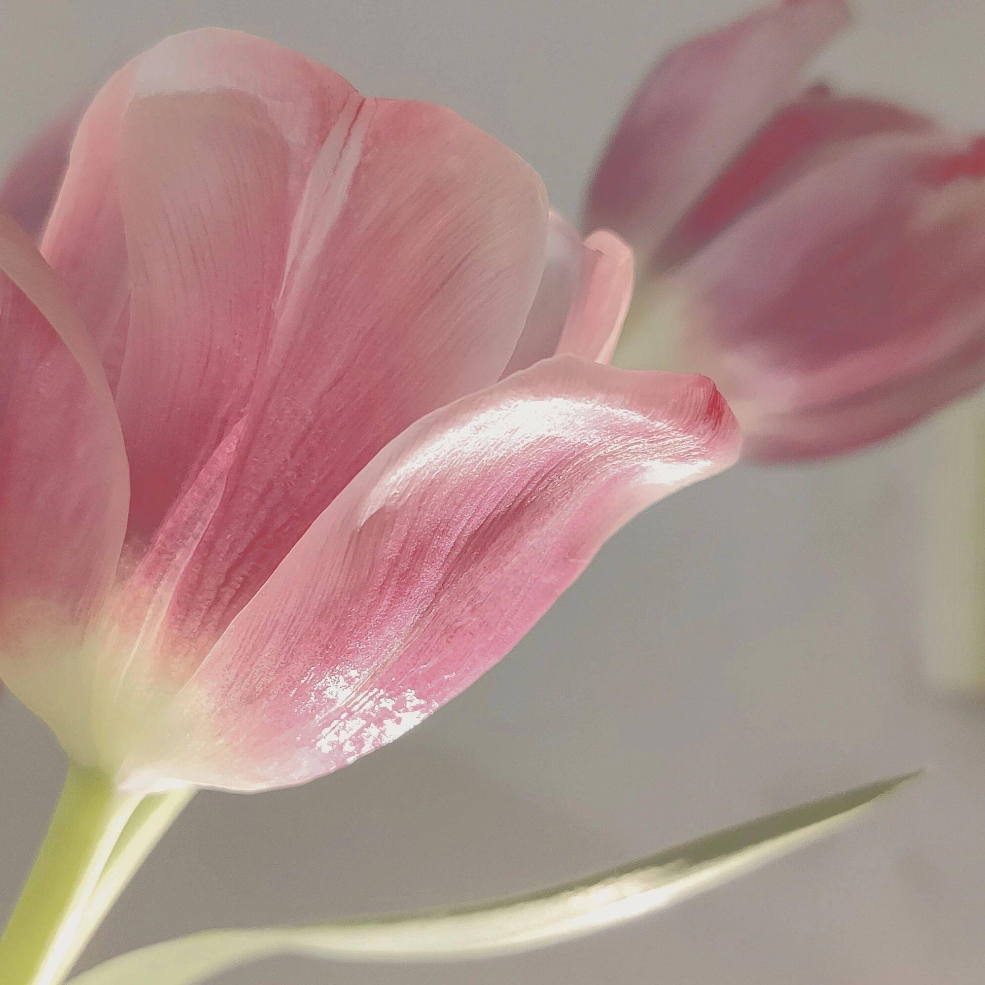 能够推动爱情的从来就不是什么新鲜感,也不是短暂时间内的热情,而是