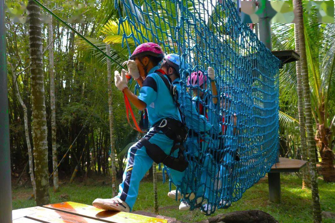 以学为敬,守研而真|呀诺达雨林研学打破课堂局限