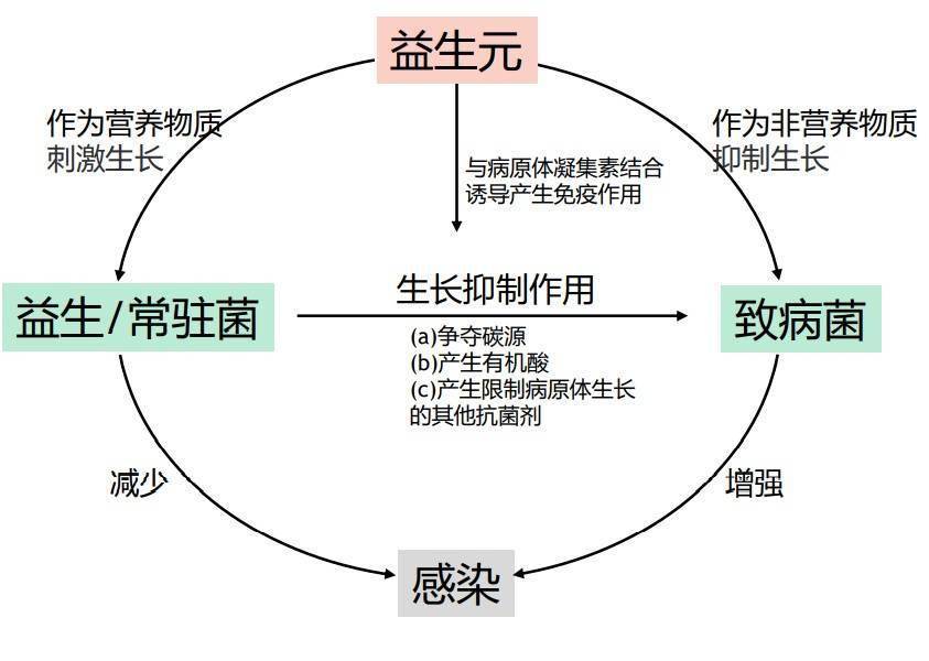 化妆品微生态护肤时代来临 华熙生物化妆品级原料新品Biobloom？出击新赛道