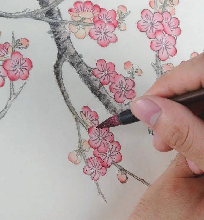 【国画教程】工笔梅花画法步骤_颜色