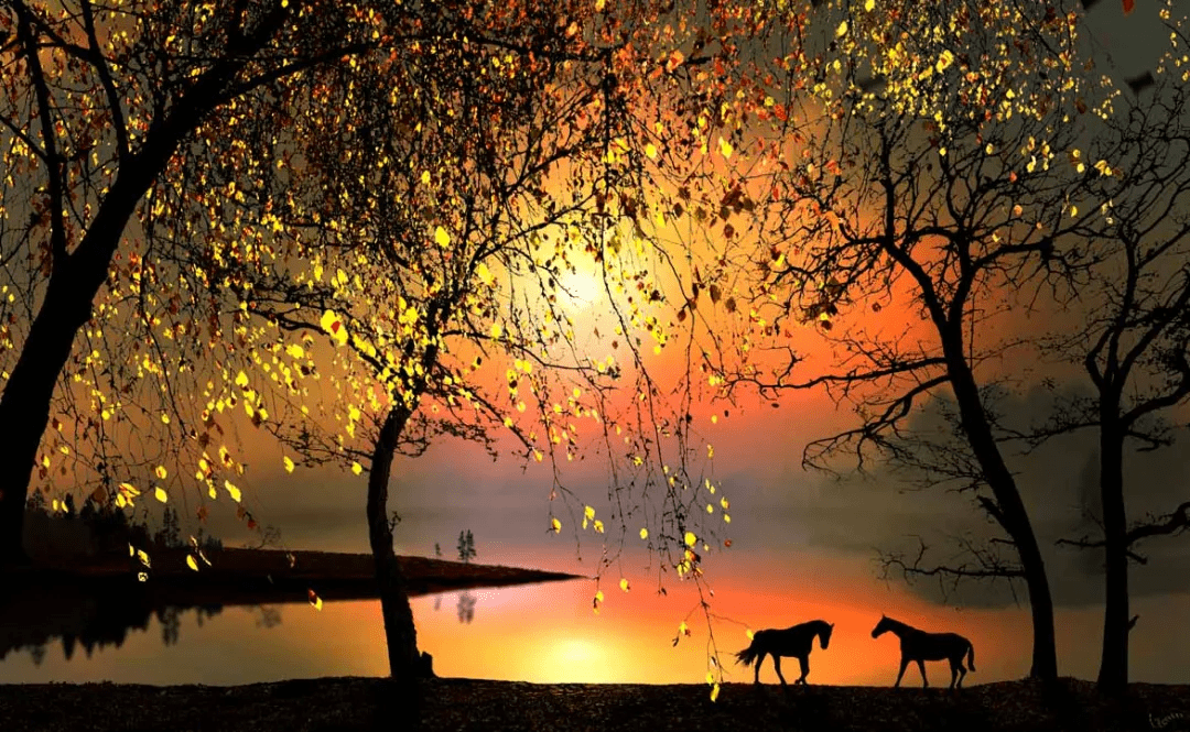 世界摄影大赛获奖作品100图欣赏