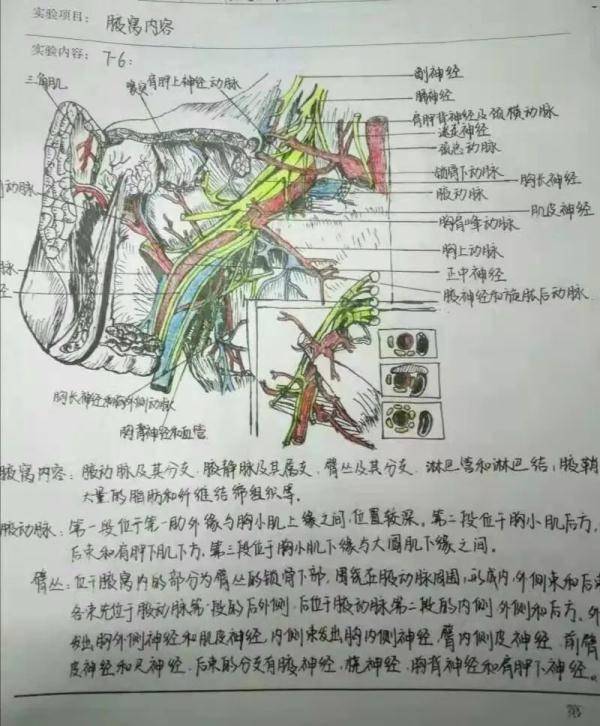 金文|听说上了大学就没作业了，真的吗？