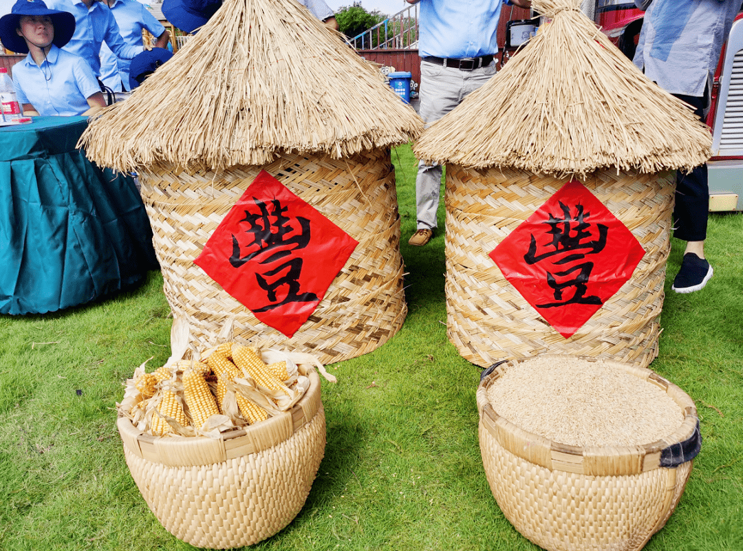 昆山|快收好！周末正好去拥抱自然花草香！走在金灿灿的田野里，来场放松休闲游！