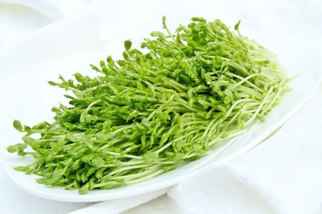 肝脏|8种明目食物，2个日常食谱，健康又护眼