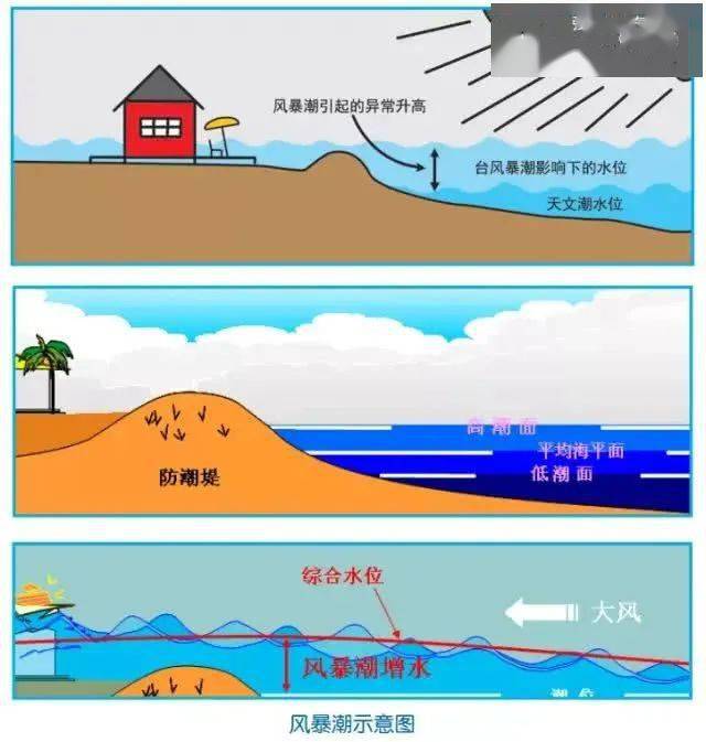 科普住在沿海城市你對海嘯有過擔憂嗎海底地震會帶來海嘯嗎