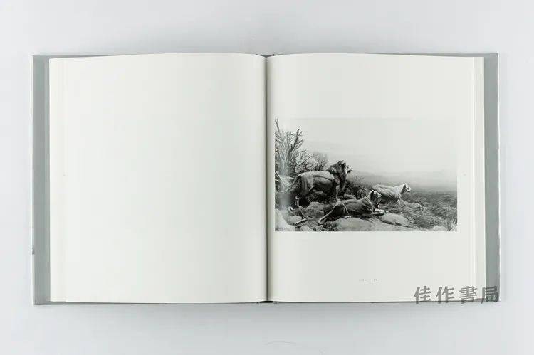 Hiroshi Sugimoto: Dioramas 杉本博司：透视画馆| 佳作书签211122_手机 