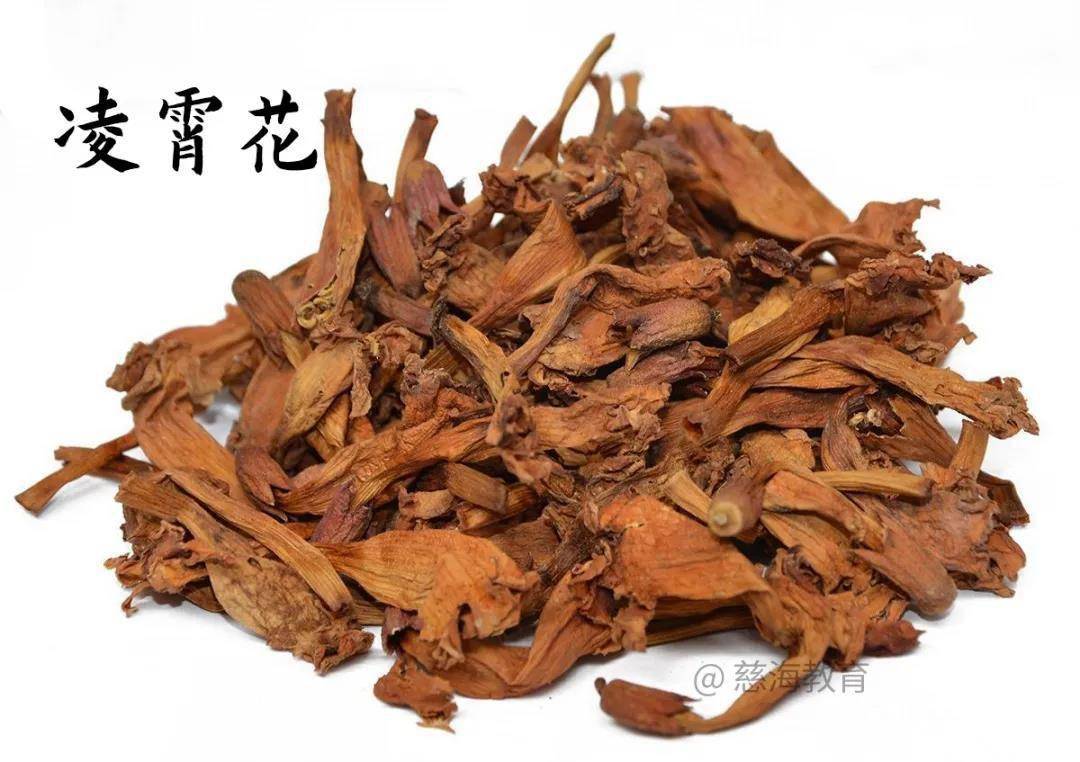 每天学习一味中药——凌霄花_紫葳