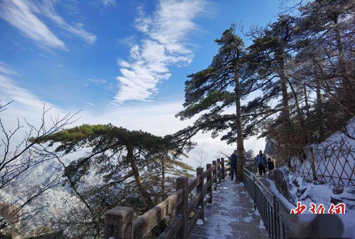 冒雪|黄山风景区迎来今冬首场降雪