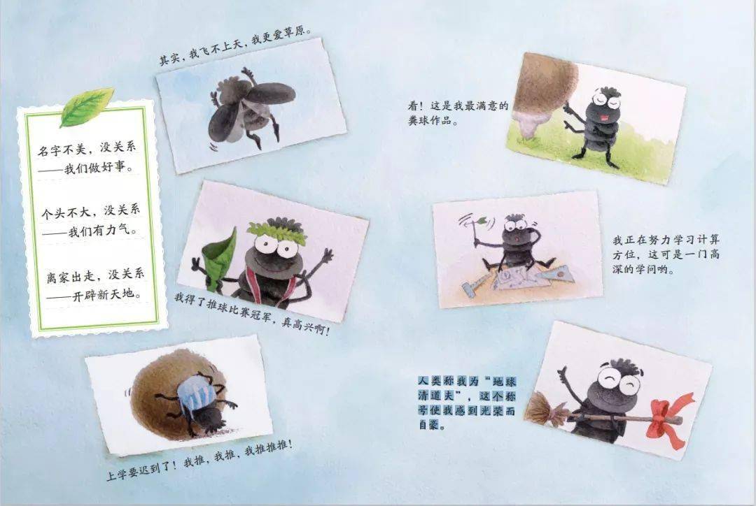 绘本阅读丨我的日记系列屎壳郎的日记