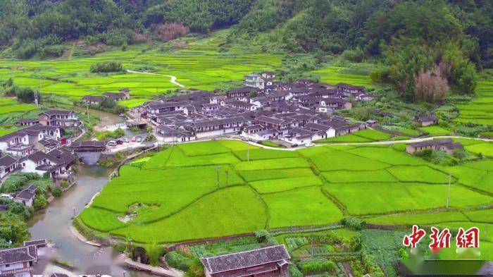 流域|“河长”绘出闽西乡村新画卷：水清河美 宜居宜游