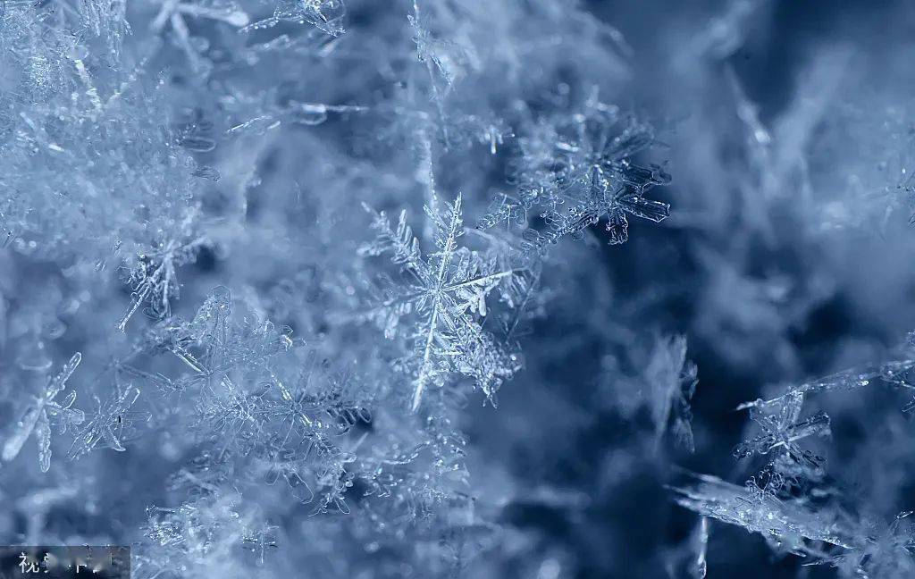 设计|今日小雪！晚来天欲雪，能饮一杯无？