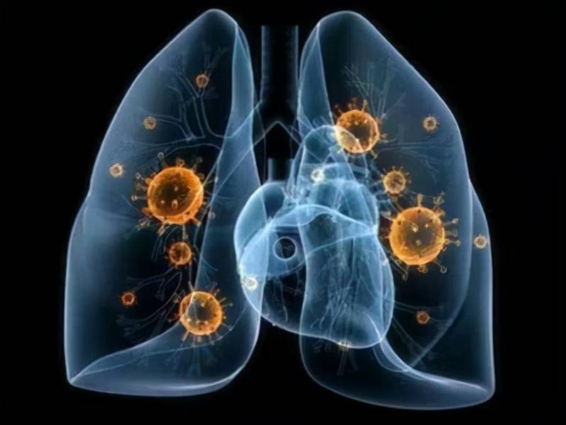 来源|河北石家庄昨日无新增，2例确诊治愈出院