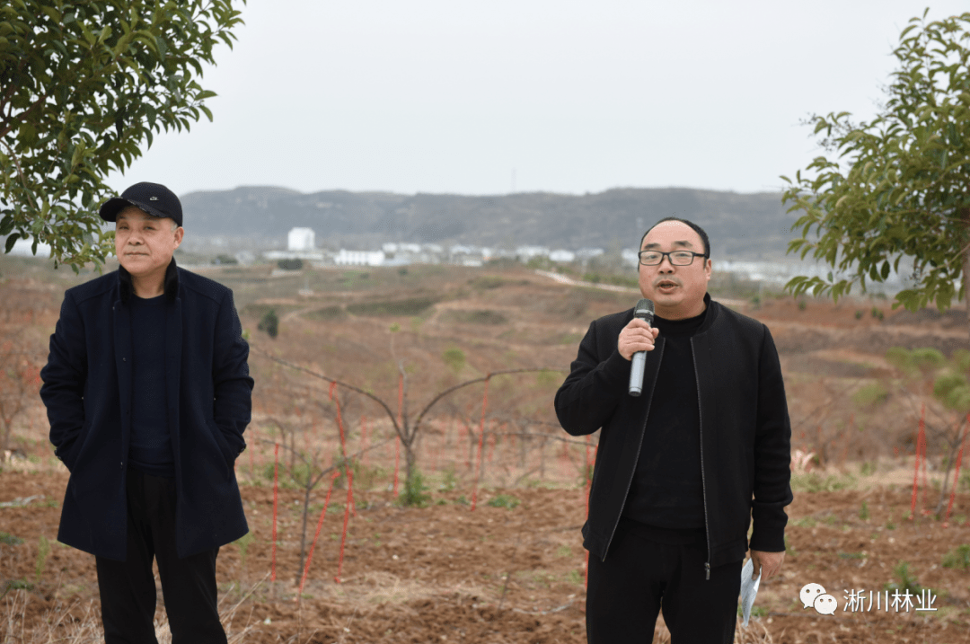 淅川召开林果管理提质增效现场会