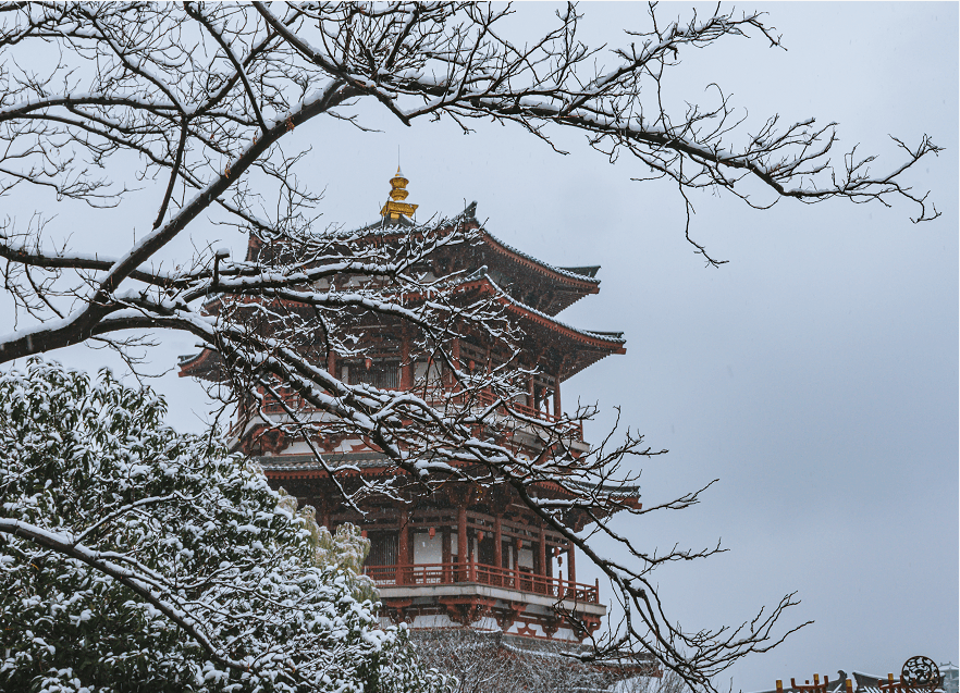 南方|??今?日?小?雪??