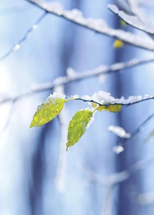 寒而|很应景！江西这里下雪了！