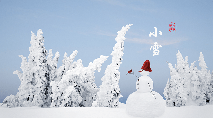 酿酒|小雪 | 雪是大浪漫，有你才是小人间