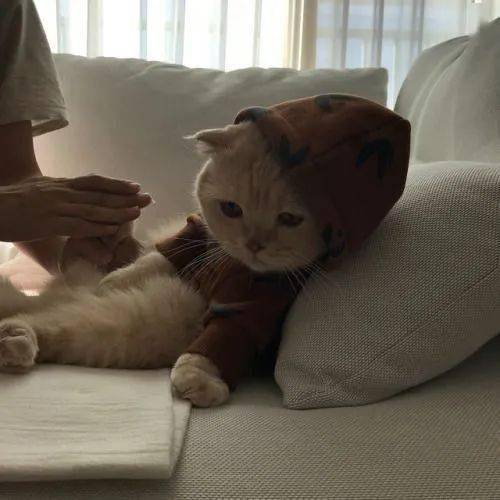 你有没有遇到过这样的人：看起来自卑内向，其实内心无比自恋