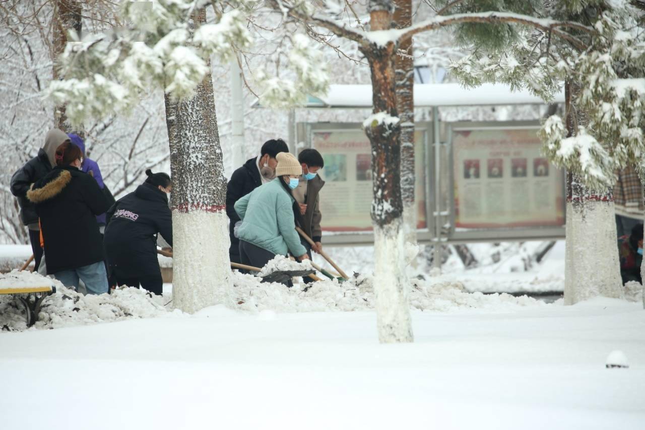 华德|【雪落象牙塔】哈尔滨华德学院：银装素裹 诗意满园