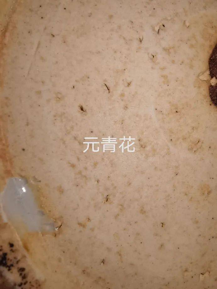 一日一物麻仓土胎质特征