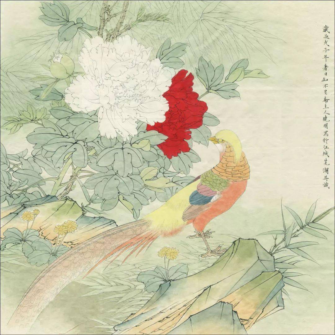 工笔锦鸡牡丹《锦上添花》绘制步骤,含详细文字解析!
