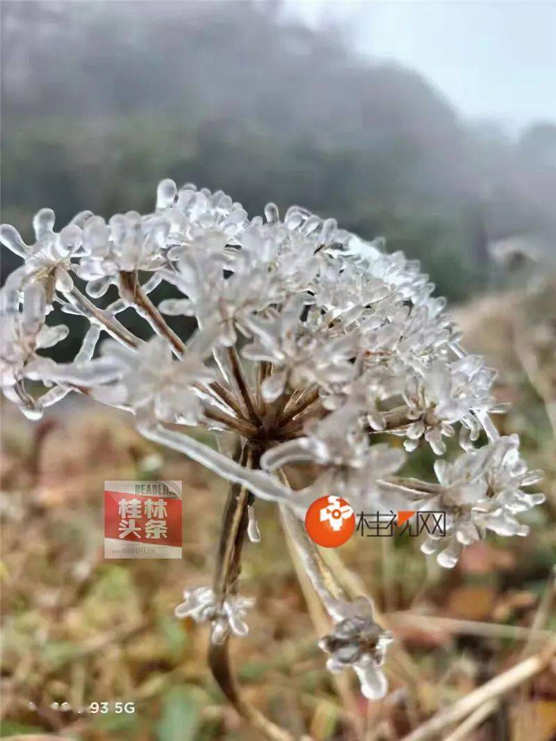 最低零下2℃ 高寒山区有冰冻 这波冷空气将影响多久？