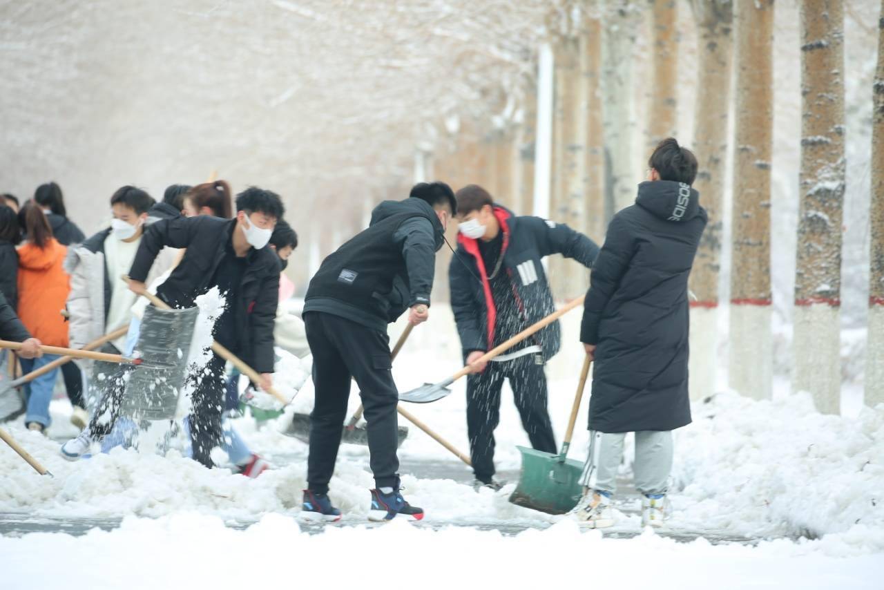 华德|【雪落象牙塔】哈尔滨华德学院：银装素裹 诗意满园