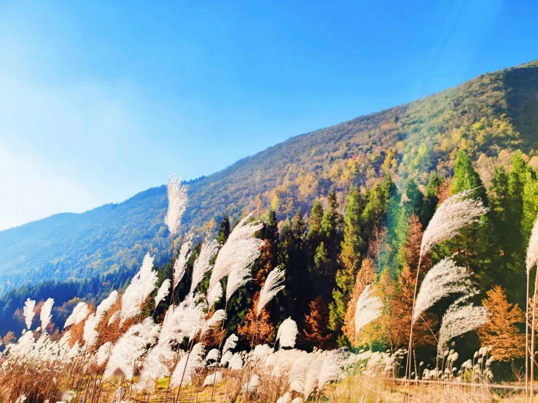 藏在恩施深山的美景!_望城坡