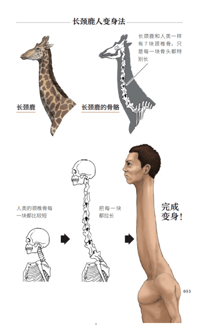 火烈鸟|绘画科普界中的阴间杠把子！他的插画惊艳了我的钛合金狗眼