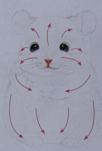 用彩铅画一只可爱的龙猫