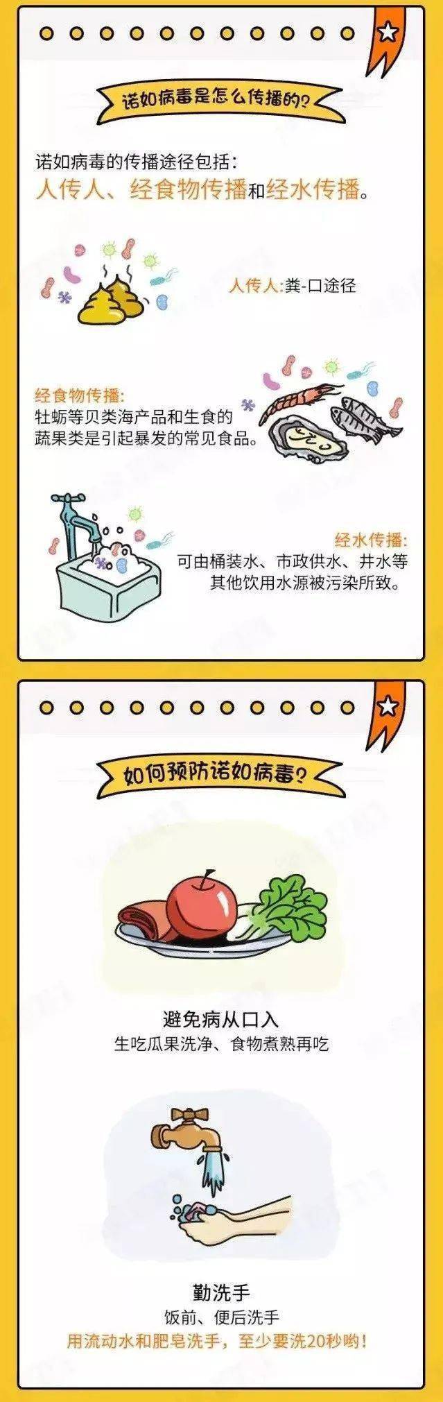 全年|一图读懂！预防诺如病毒这样做 | 安全公开课