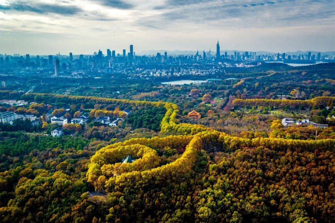 美图来袭长三角区域七名系列推荐目的地巡礼走进长三角这些名山沉浸于