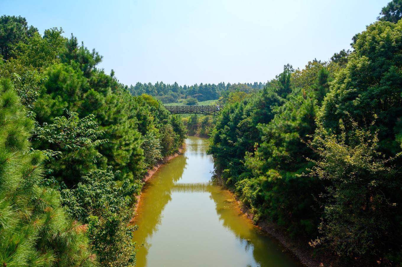 螃蟹|走进南京高淳，打卡网红打卡地固城湾景区，品尝固城湖螃蟹