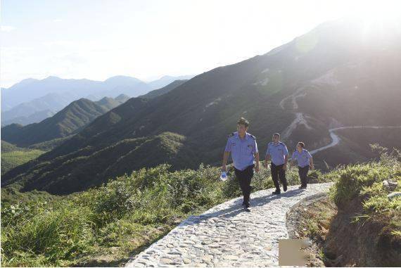 蓝山县|熄灯、静山，一座县城与候鸟的“相处之道”