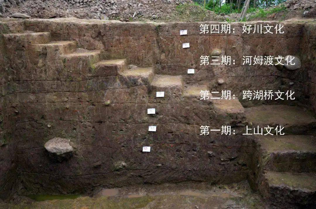 下汤遗址出土的碳化稻米,证明了该遗址是世界稻作文化起源地之一.