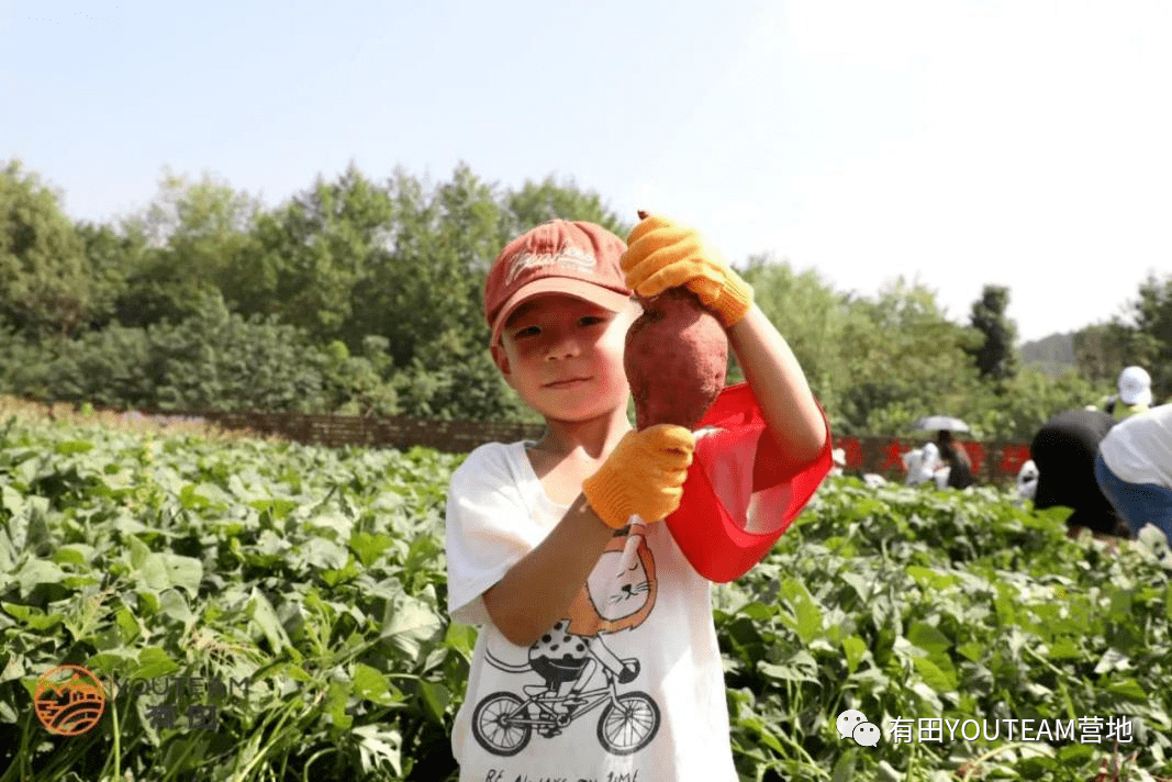 溜娃好去處光谷勞動教育實踐基地最新實拍親近自然種植挖紅薯