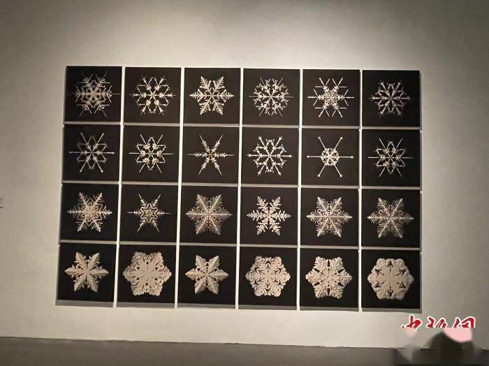 中国|一场颠覆认知的摄影展：作品不一定是相机拍的