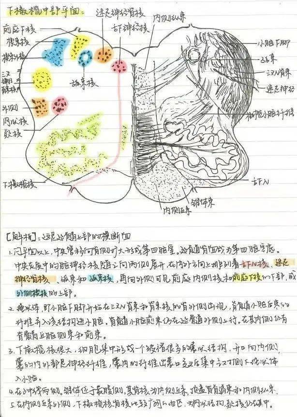 产权学院)王立迁化学与材料科学学院王亦卓物理学院李菲凡法学院(知识