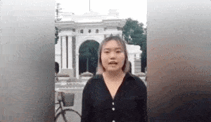 因为|她红了，捧她的糊了