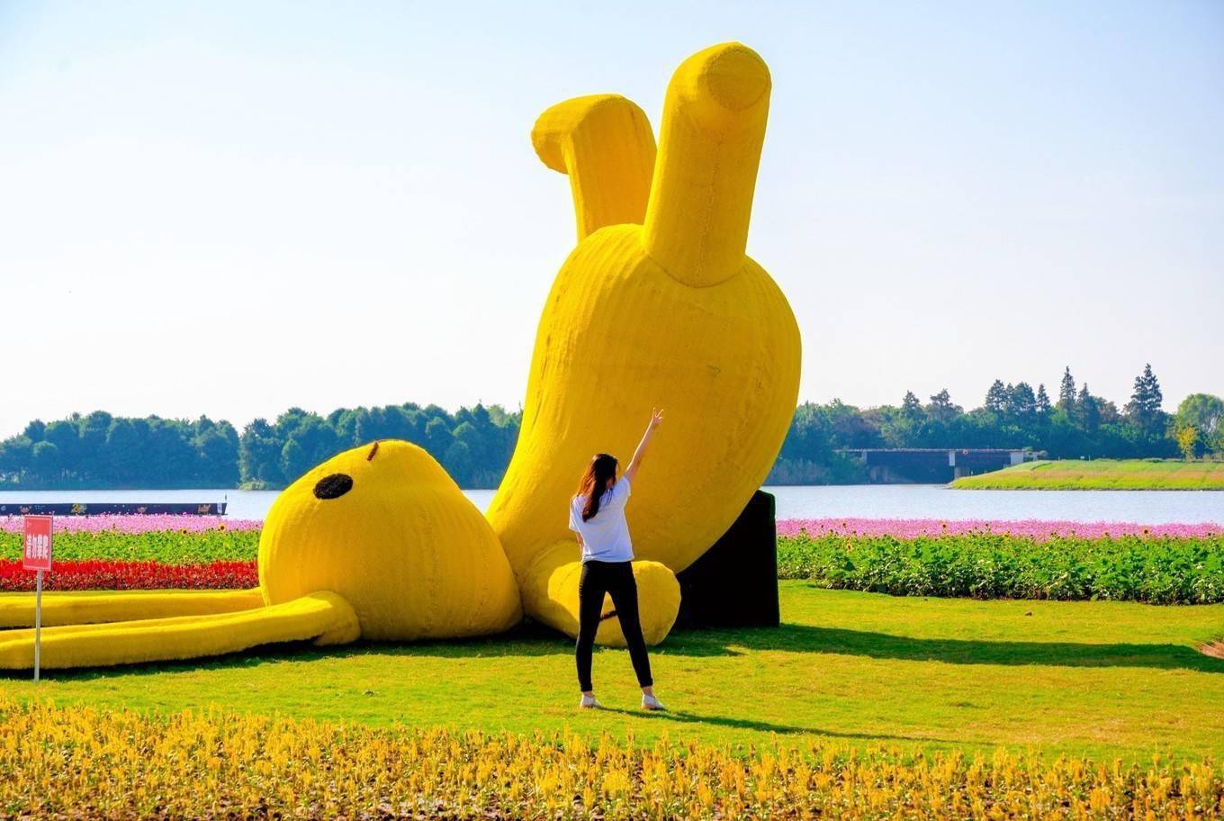 螃蟹|走进南京高淳，打卡网红打卡地固城湾景区，品尝固城湖螃蟹