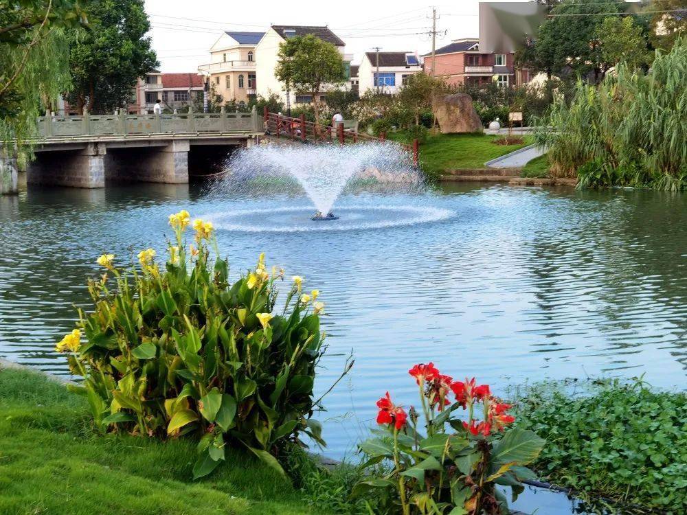 所有人:金塘创建国家卫生镇,需要您一同参与!