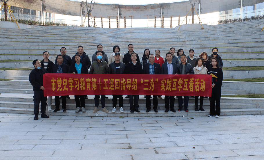 市党史学习教育第十五巡回指导组举办第三场"三为"实践互学互看活动