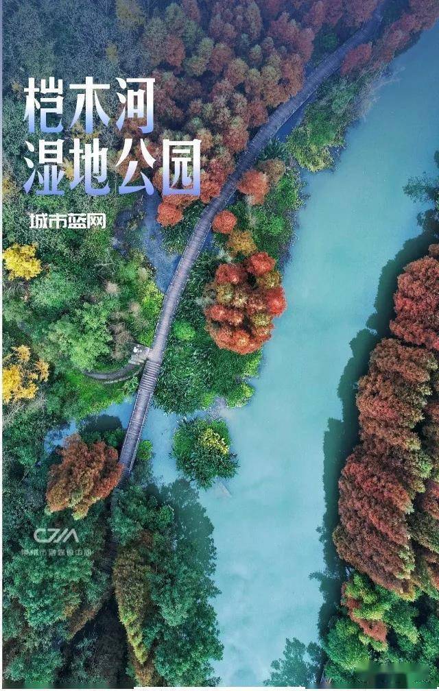 水系|桤木河湿地公园，颜值高的背后有故事