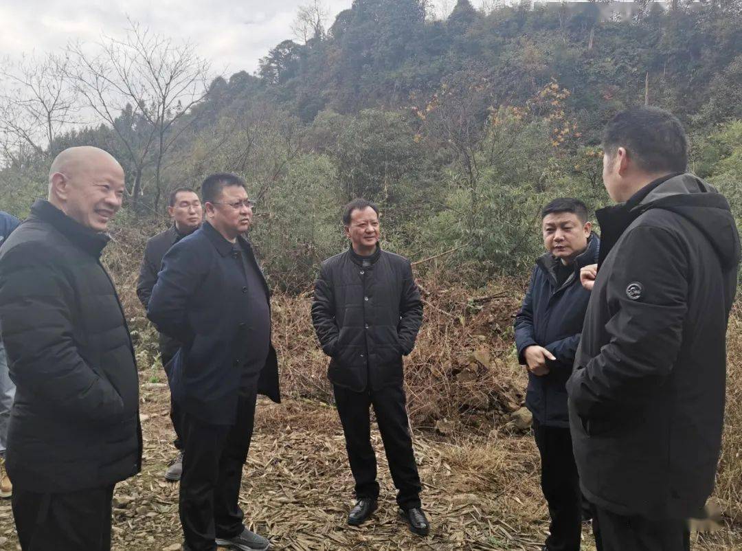 县委书记杨仕翰,县委常委,县委办主任徐昌雄及县水务局相关负责人陪同