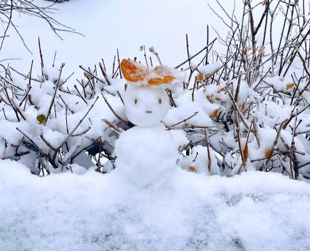 吉林工商学院雪景图片