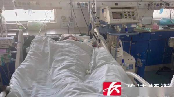 咽喉部|两市民误食“滴水观音”入院抢救！医生：很多小区里有，毒素可致命