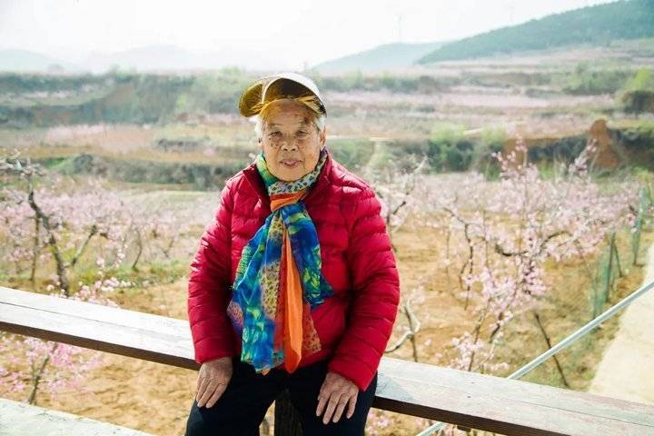赏桃花,游古村:五百名老读者打卡肥城,92岁的刘大妈"靓"了