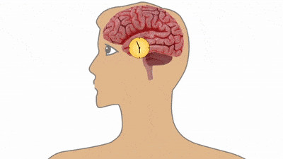 睡眠专家提醒:小心这6种常见病,很多人都有_大脑