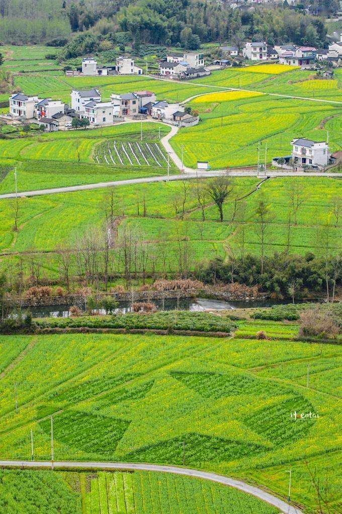 胡文|来自大自然的邀请，去安徽黟县赴一场养生局