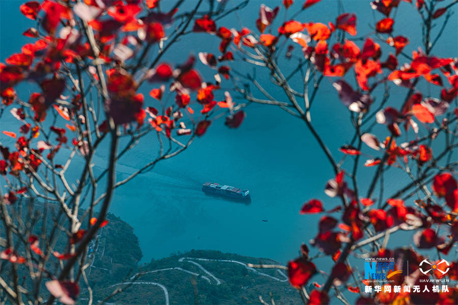 赏三峡红叶 瞰万里峡江